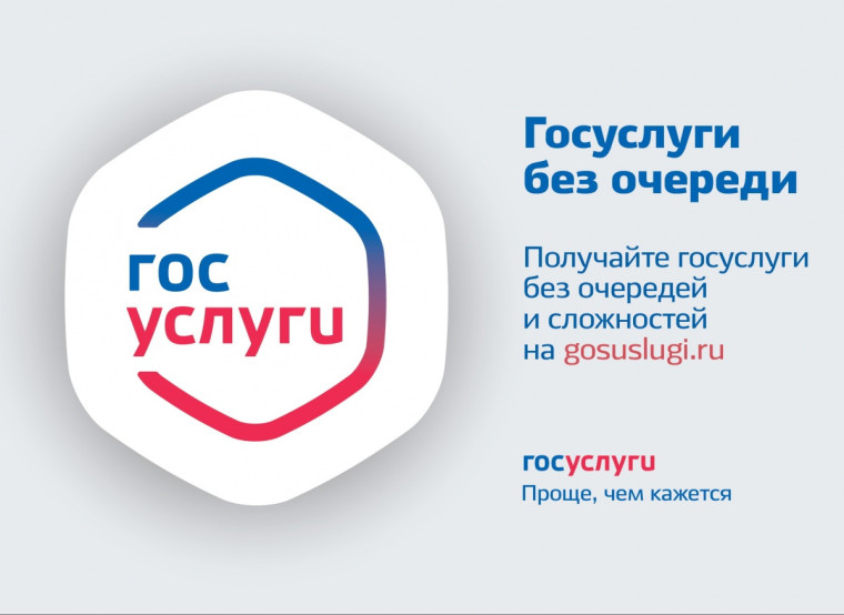 Массовые социально значимые услуги в электронном виде можно получить дистанционно.